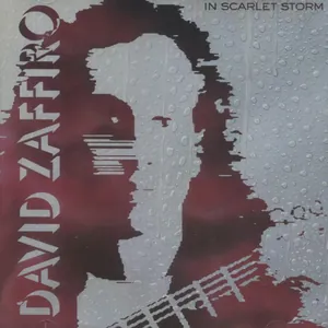 David Zaffiro — In Scarlet Storm cover