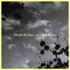 Divide By Zero — Answer to No One cover