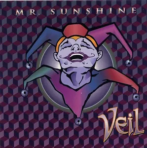 Veil — Mr. Sunshine cover