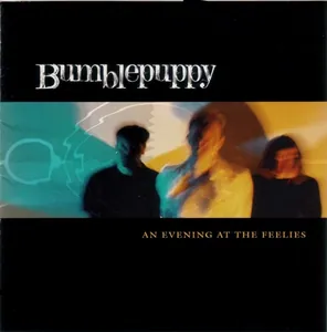 Bumblepuppy — An Evening at the Feelies cover