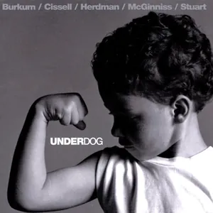 Audio Adrenaline — Underdog cover