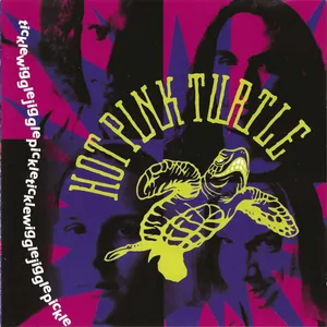 Hot Pink Turtle — ticklewigglejigglepickle cover