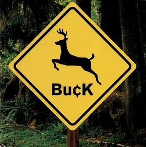 Buck — Buck cover