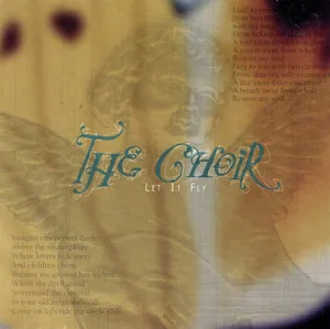 The Choir — Let It Fly cover