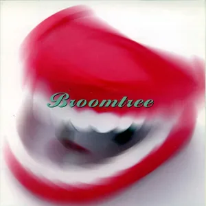 Broomtree — Broomtree cover
