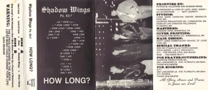 Shadow Wings — How Long? cover