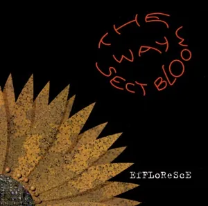 The Way Sect Bloom — Effloresce cover