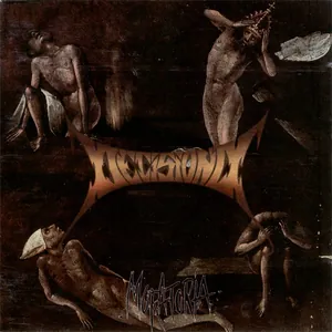 Decision D — Moratoria cover