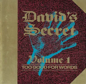 David's Secret — Too Good for Words cover