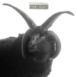 The Cult — The Cult cover