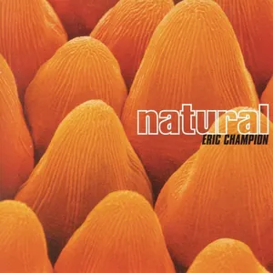 Eric Champion — Natural cover