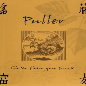 Puller — Closer Than You Think cover