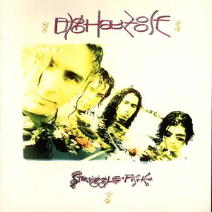 DigHayZoose — Struggle Fish cover