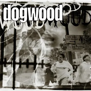 Dogwood — More Than Conquerors cover