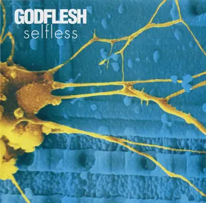 Godflesh — Selfless cover