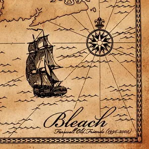 Bleach — Farewell Old Friends cover