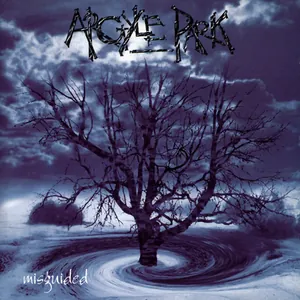 Argyle Park — Misguided cover
