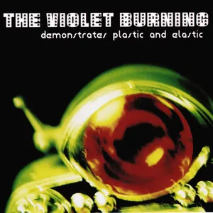 The Violet Burning — The Violet Burning Demonstrates Plastic and Elastic cover