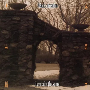 Black Carnation — It Remains the Same cover