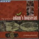 Adam's Housecat — Tag, You're It cover