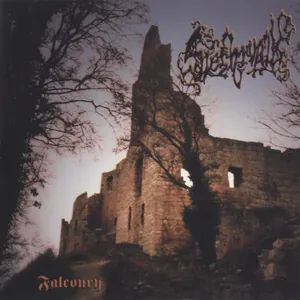 Slechtvalk — Falconry cover