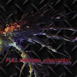 Various Artists — Full Frontal Lobotomy cover